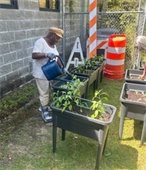 Carver Village resident tending to the community garden