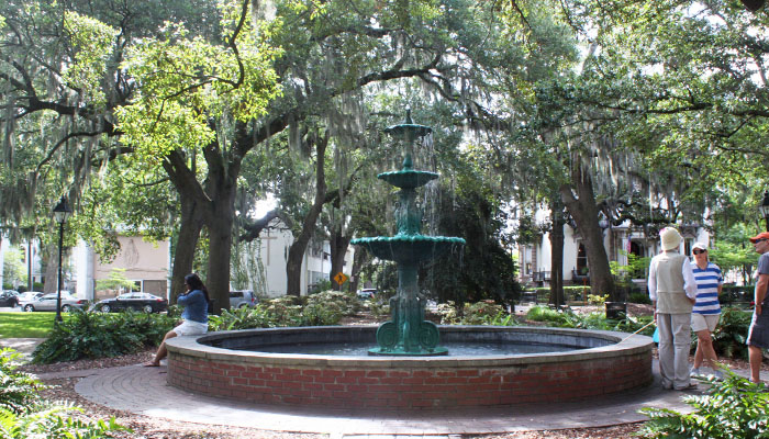 Savannah Squares