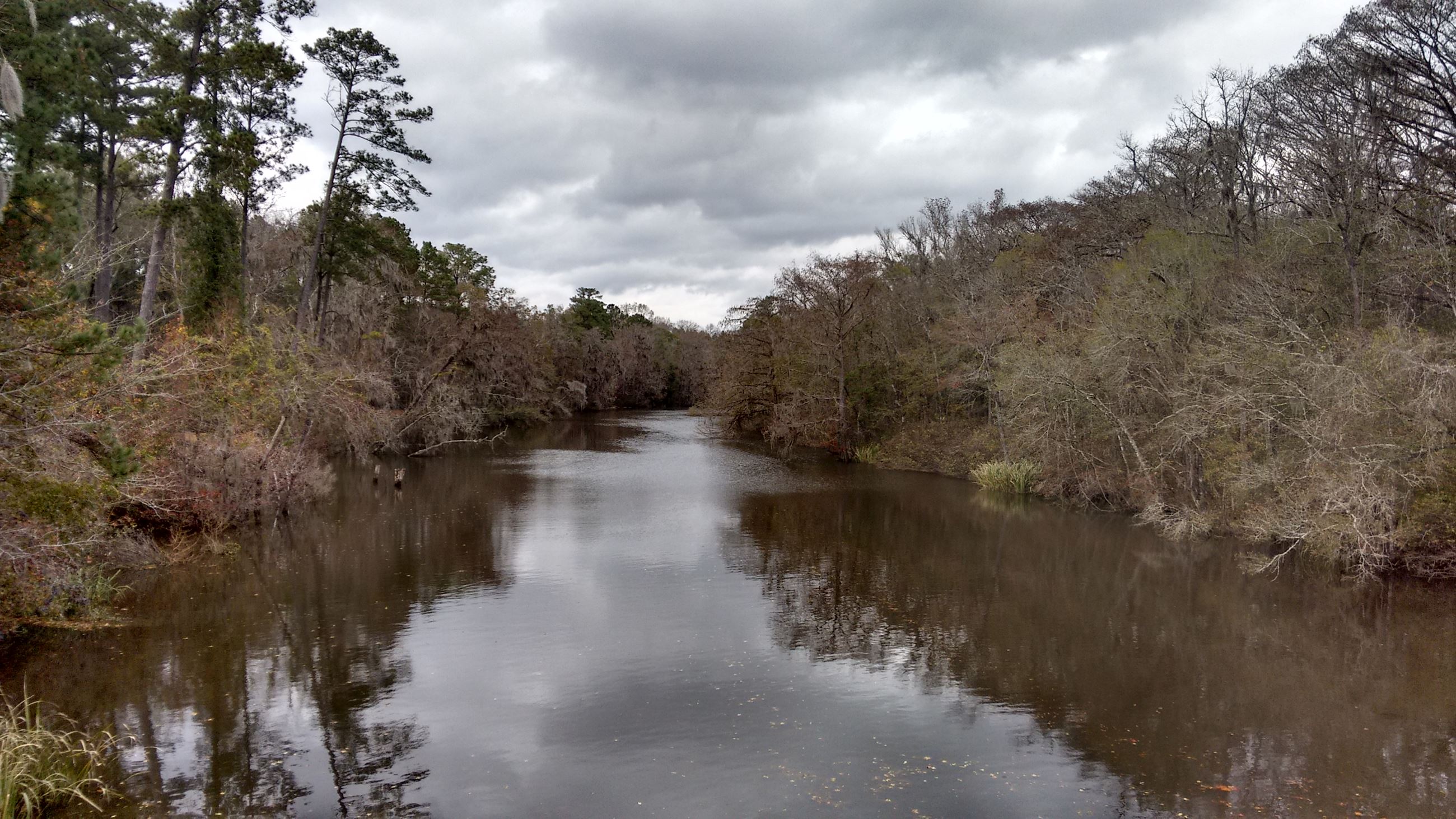 Abercorn Creek November 2015