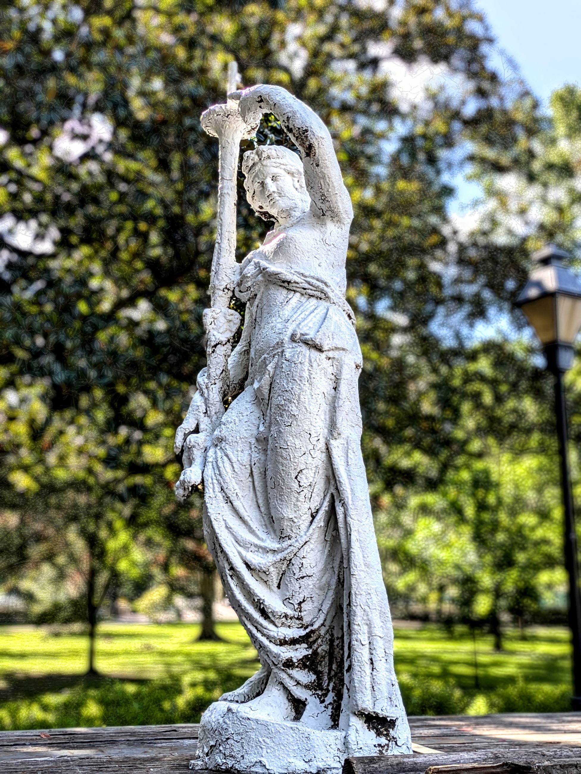 PXL_20250623_134931308.PORTRAIT~2