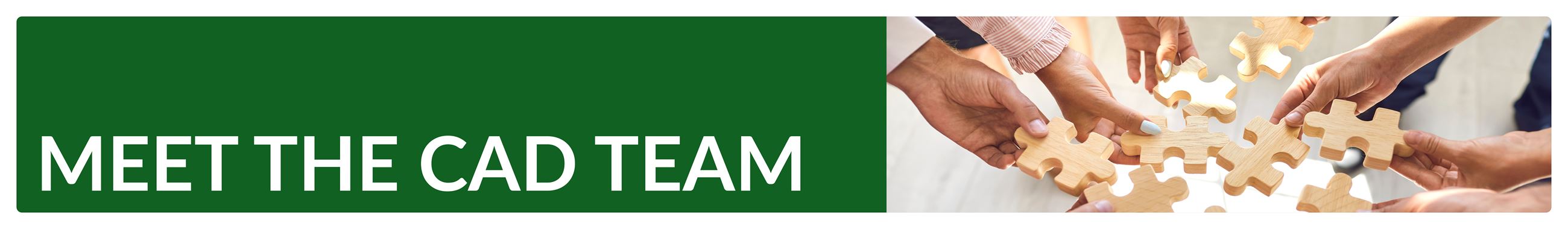 Meet the CAD Team