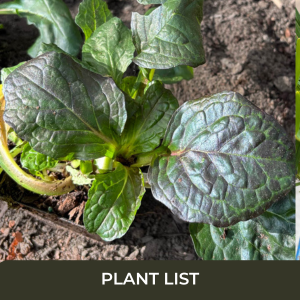 Connecting People, Pollinators, and Places. (1)