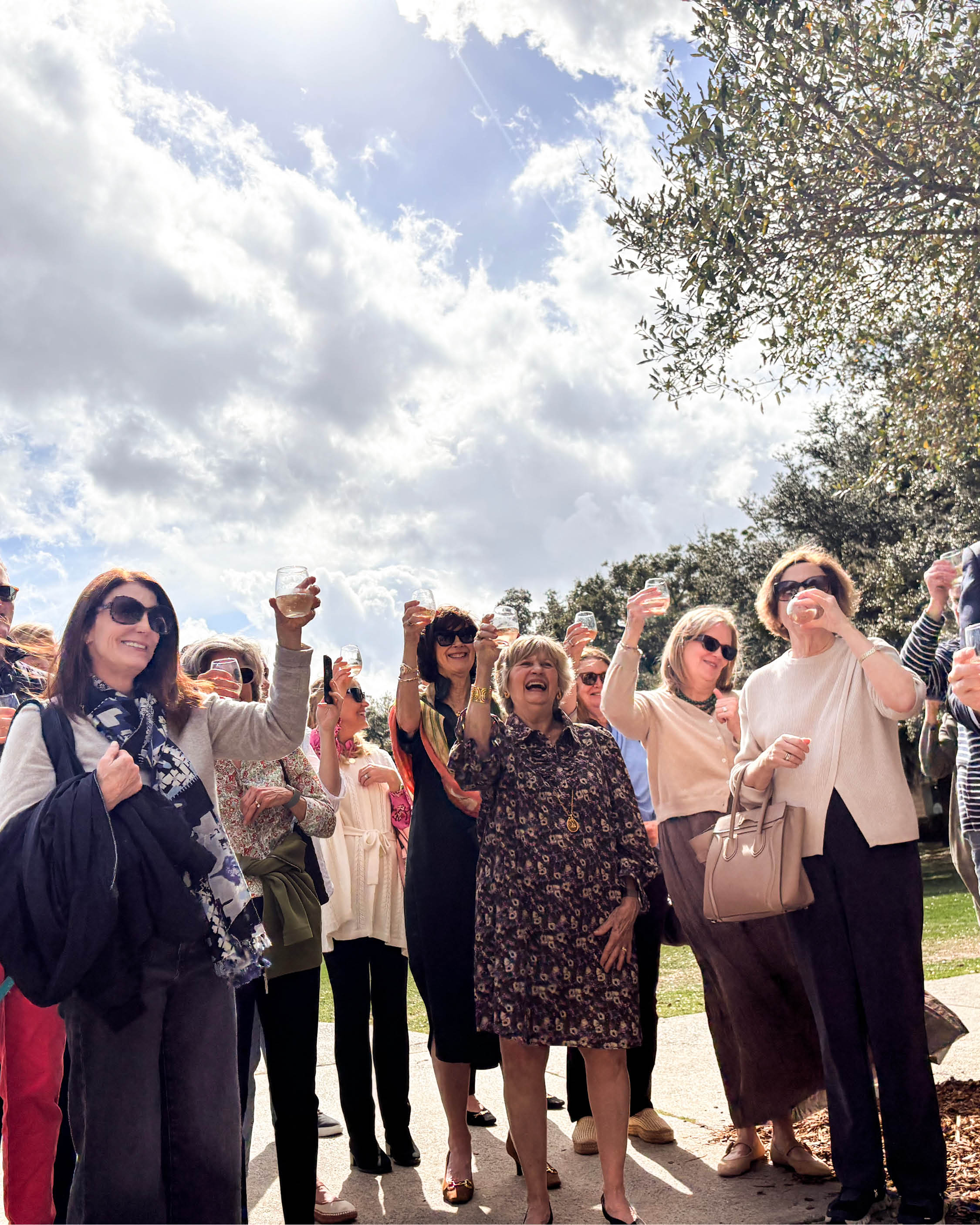 Shade Garden Photo Essay