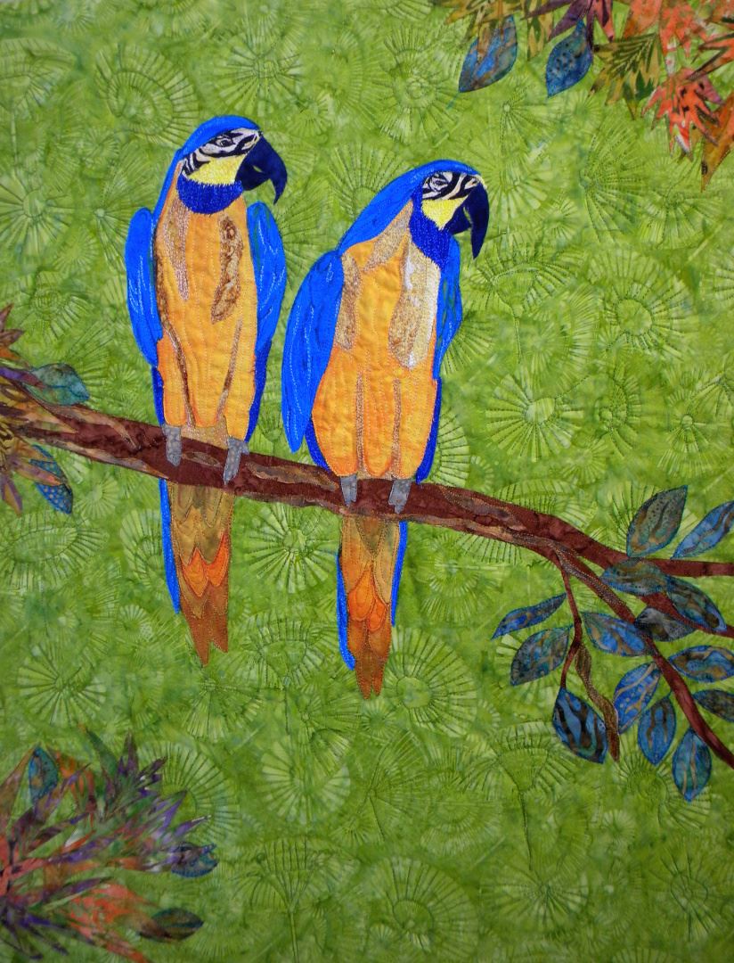 Magnificent McCaws by Donna Stankiewicz