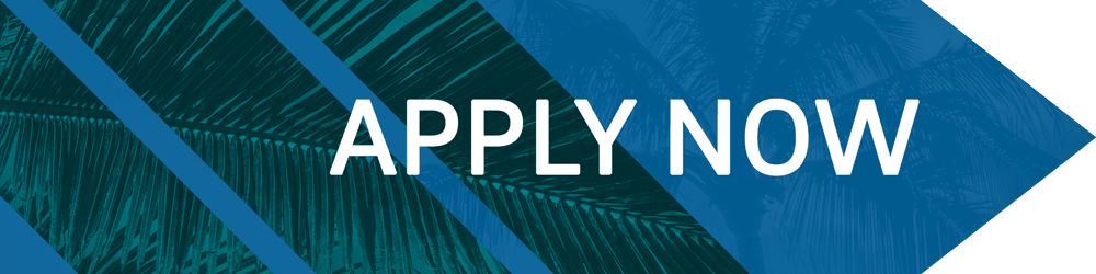 APPLY NOW Opens in new window